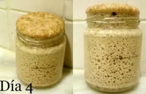 Masa Madre